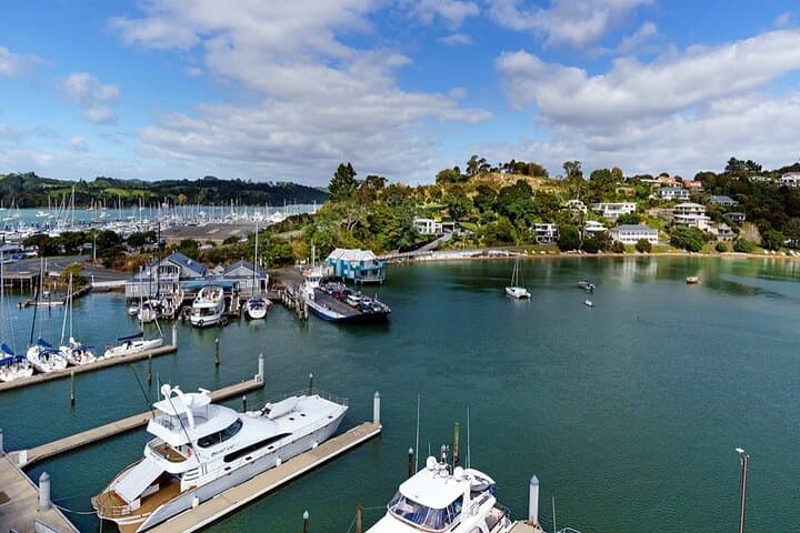 Bay of Islands V8 Trike Thrill: Paihia 60-Min Scenic Adrenalin Tour photo 4