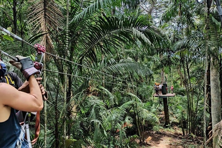 Gamboa Zipline Canopy and Sloth Sanctuary Day Trip from Panama City photo 2