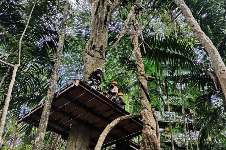 Gamboa Zipline Canopy and Sloth Sanctuary Day Trip from Panama City photo 3