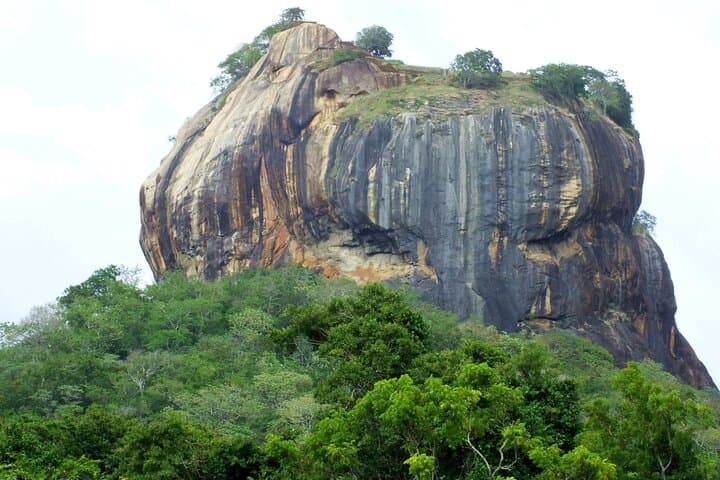 8-Day Hill Country and Coastal Tour of Sri Lanka: Sigiriya, Kandy, Ella, Yala & Mirissa