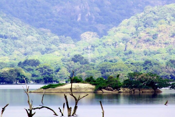 8-Day Hill Country and Coastal Tour of Sri Lanka: Sigiriya, Kandy, Ella, Yala & Mirissa photo 2