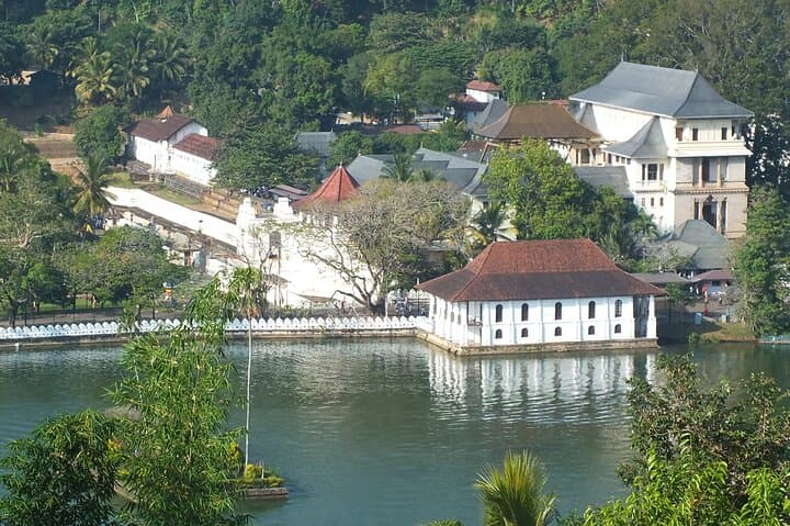 8-Day Hill Country and Coastal Tour of Sri Lanka: Sigiriya, Kandy, Ella, Yala & Mirissa photo 3