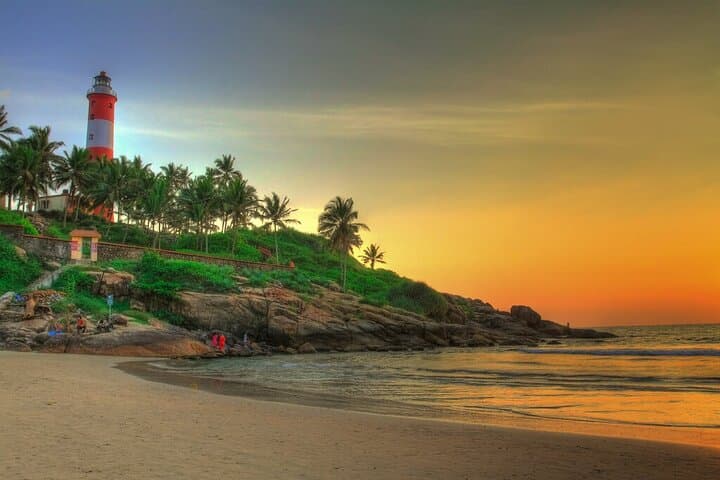 Best of Kerala: 8-Day Private Tour from Kochi — Munnar, Periyar & Backwaters photo 6