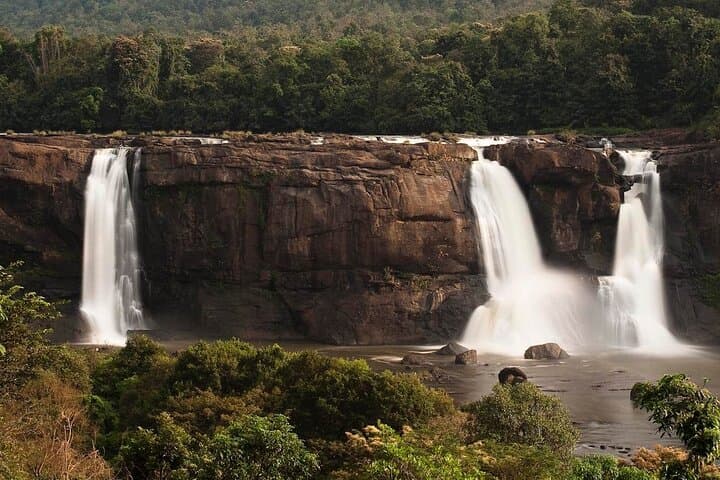 Best of Kerala: 8-Day Private Tour from Kochi — Munnar, Periyar & Backwaters