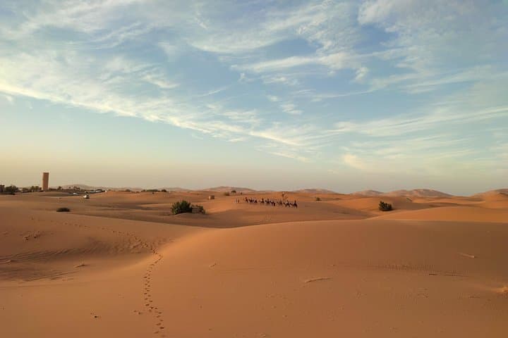 8-Day South Morocco Adventure: 5-Day Sahara Desert Trek from Marrakech