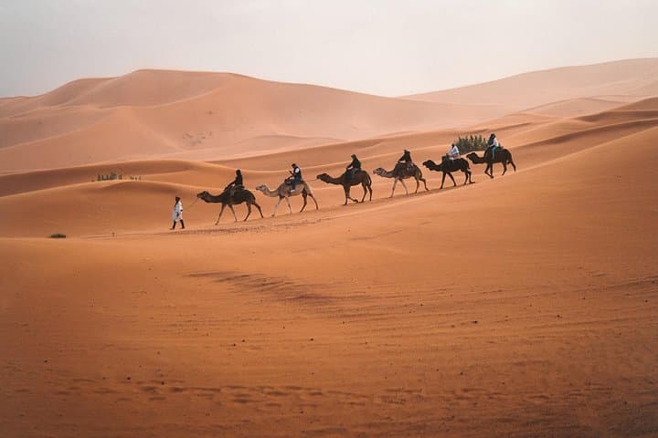 8-Day South Morocco Adventure: 5-Day Sahara Desert Trek from Marrakech photo 2