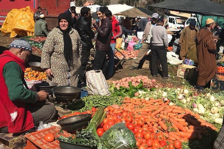 Atlas Mountains & Ourika Valley Day Trip with Agafay Desert Lunch from Marrakech photo 2