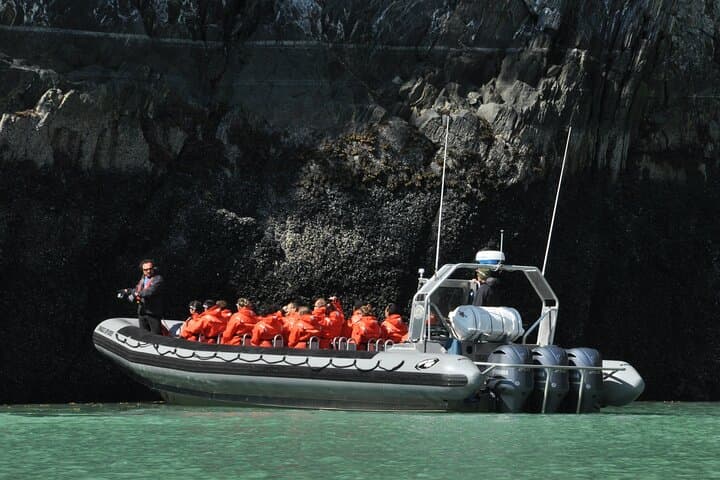 Skagway Ocean Raft Adventure: Lynn Canal Wildlife & Fjord Thrills photo 3