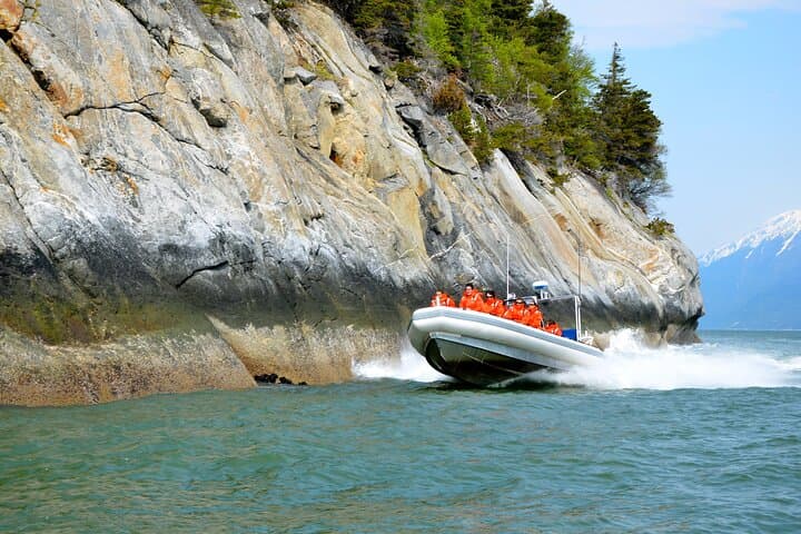 Skagway Ocean Raft Adventure: Lynn Canal Wildlife & Fjord Thrills photo 5