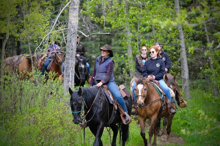 Valley Vista Horseback Trail Ride — 1.5 Hour Kananaskis Riding Experience photo 5