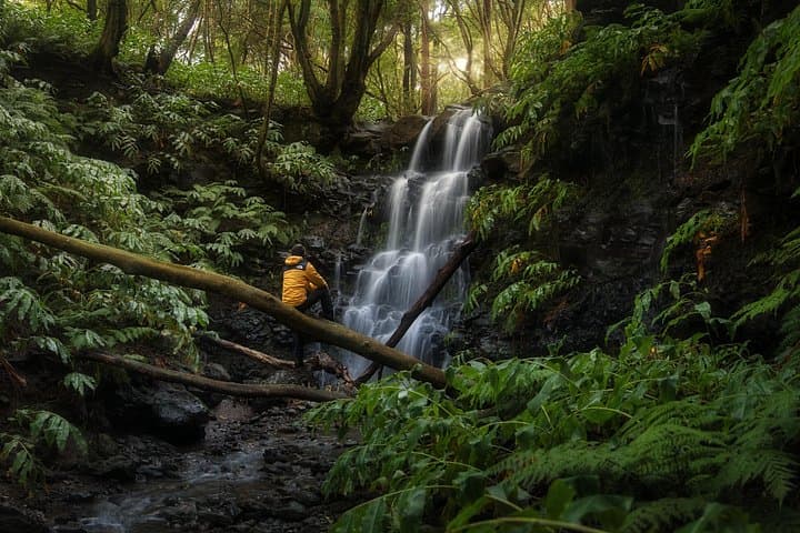 Terceira Full-Day Sunrise-to-Sunset Photo Tour — Private Photography Workshop photo 1