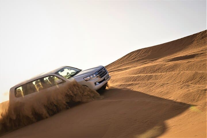 Dubai Red Dunes Safari: Sandboarding, Camel Ride, Falcon Experience & VIP Desert Camp
