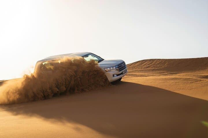 Dubai Red Dunes Safari: Sandboarding, Camel Ride, Falcon Experience & VIP Desert Camp photo 6