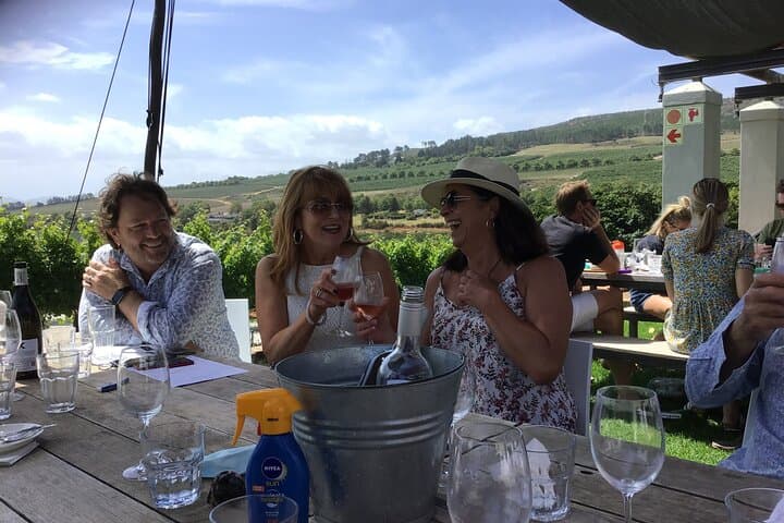 Private Wine Tasting in Elgin Valley: Small-Group Tours & Winemaker Visits