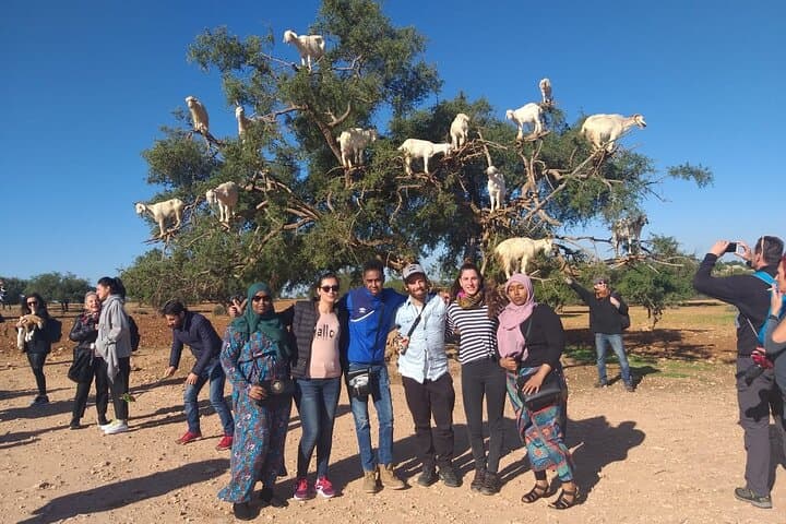 Morocco 11-Day Explorer: Marrakech to the Sahara and Atlantic Coast photo 4