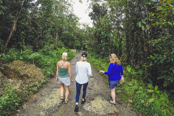 San Cipriano Full-Day Private Adventure: Brujitas, Waterfalls & Jungle Float photo 3