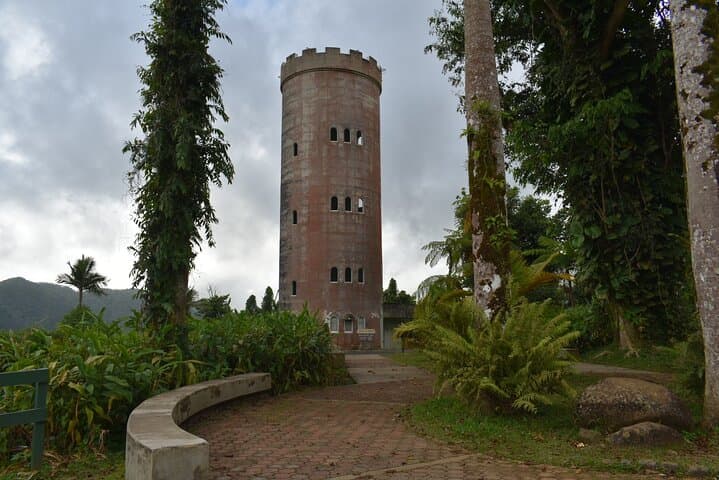 El Yunque Rainforest Day Tour from San Juan: Guided Hike, Waterfalls & Tower Views photo 6