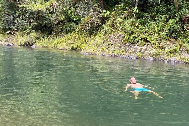 El Yunque Rainforest Day Tour from San Juan: Guided Hike, Waterfalls & Tower Views photo 3