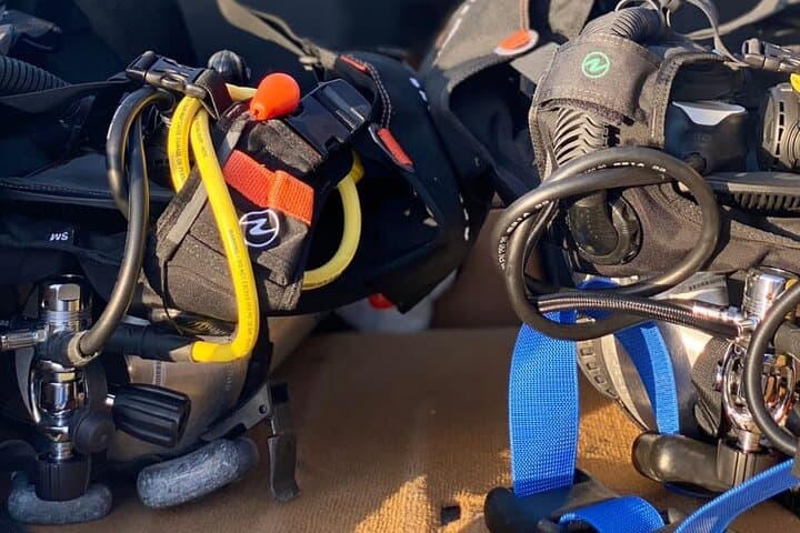 Discover Scuba Diving at Qantab Beach — Introductory PADI Experience Near Muscat photo 3