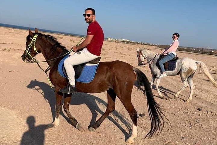 El Gouna Horse Ride Tour — Red Sea Desert & Coast Horseback Experience photo 2