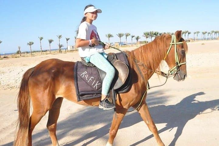El Gouna Horse Ride Tour — Red Sea Desert & Coast Horseback Experience photo 3