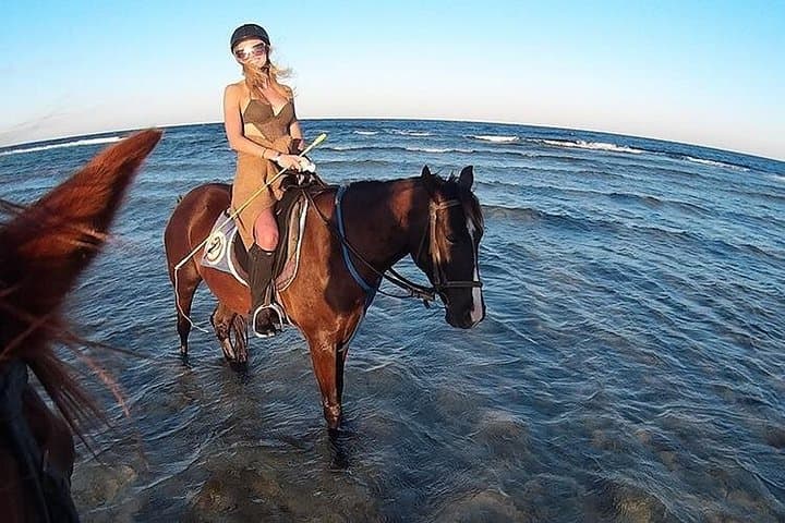 El Gouna Horse Ride Tour — Red Sea Desert & Coast Horseback Experience photo 1