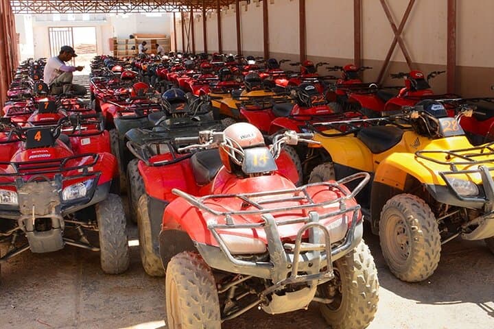 El Gouna Morning Quad Bike Safari: Desert Buggy, Bedouin Tea & Camel Ride photo 2