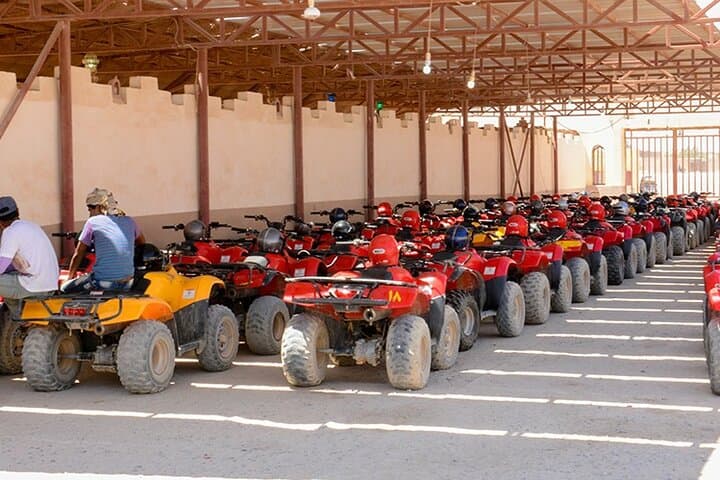 El Gouna Morning Quad Bike Safari: Desert Buggy, Bedouin Tea & Camel Ride photo 3