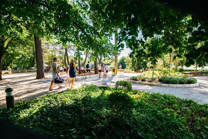 Exploring Krka Waterfalls and Historic Sibenik: A Private Full-Day Croatian Adventure photo 4