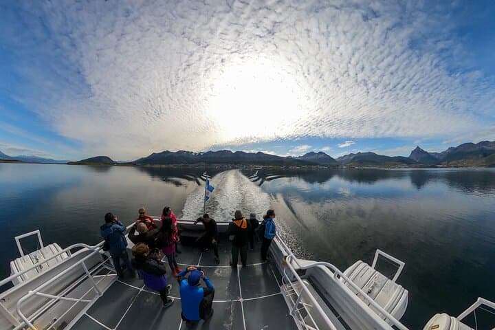 Sail the Beagle Channel: Wildlife, Yámana Middens & Les Eclaireurs Lighthouse photo 6