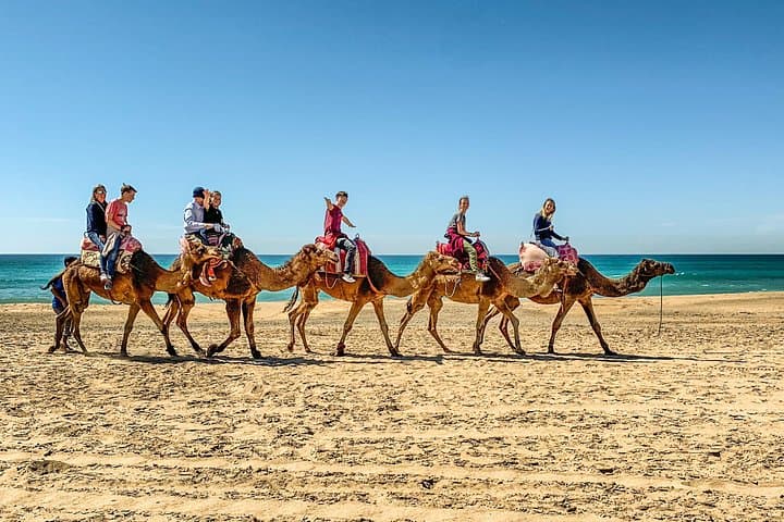 Private Day Trip to Essaouira from Marrakech: Coastal Citadel, Argan Groves & Seafood photo 1