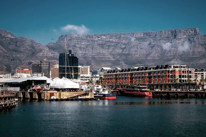 Cape Point & Boulders Beach Private Tour — Penguins, Chapman's Peak and Coastal Views photo 3