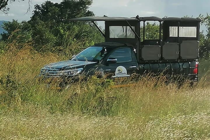 Overnight Kruger Safari: Classic Camping at Pretoriuskop photo 6