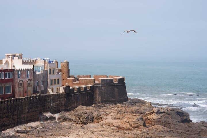 Essaouira 1-Day Shared Escape from Marrakech: Atlantic Coast, Medina & Argan Co-op
