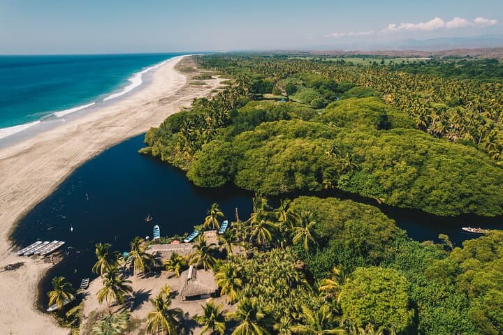 Coastal Wildlife Eco Tour: Ventanilla Mangroves, Mazunte & Zipolite from Huatulco photo 6