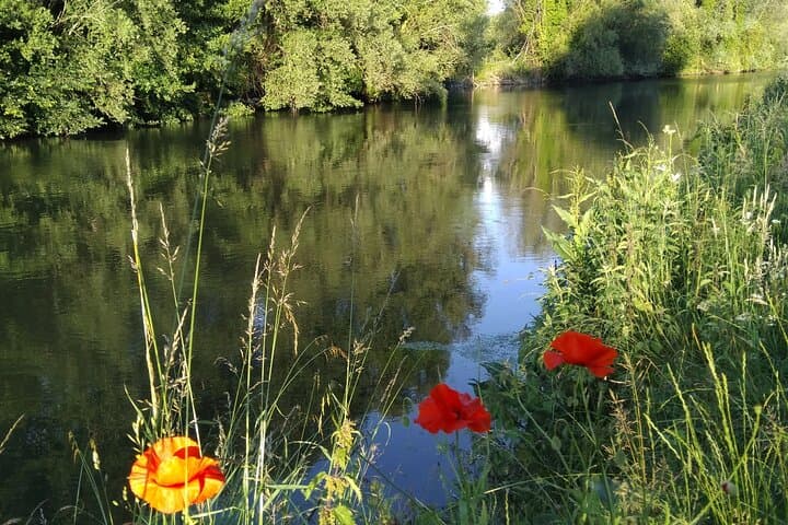 Exploring the WWI Somme Battlefields: Guided Circuit from Amiens photo 2