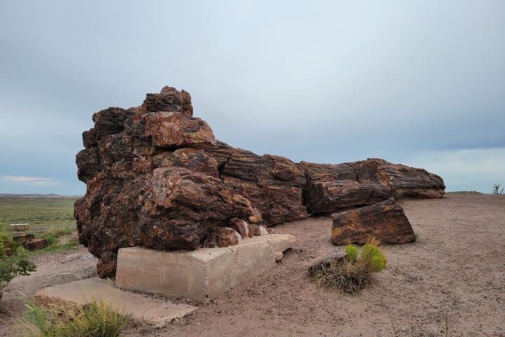 Sedona to Petrified Forest National Park: Private Painted Desert Day Tour photo 5