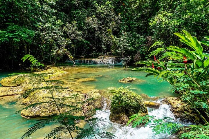 YS Falls Private Tour: South Coast Waterfalls & Rainforest Drive from Montego Bay photo 6