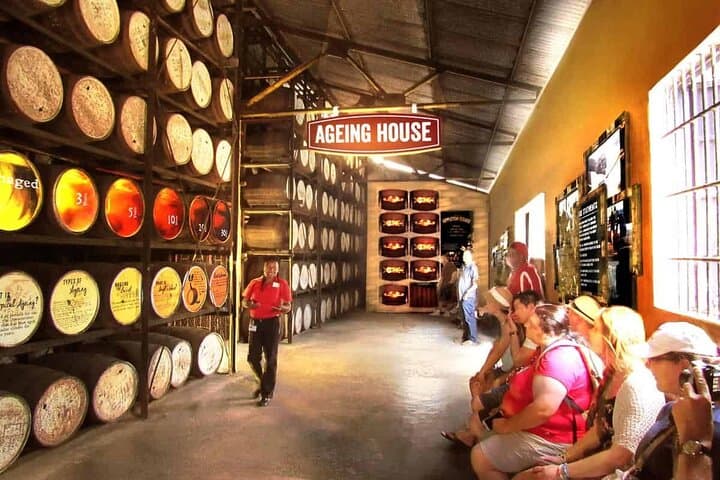 Appleton Estate, YS Falls & Black River Safari — Private Day Tour from Montego Bay photo 6