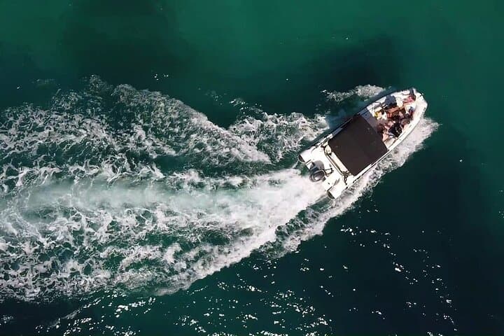 Half-Day Private Speedboat to Zadar’s Ugljan, Ošljak & Školjić