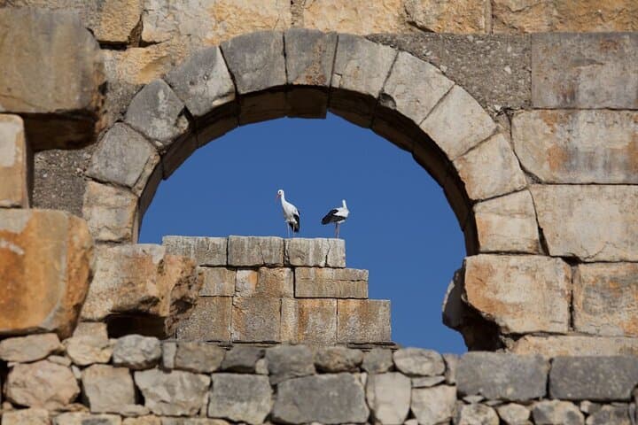 Splendors of Morocco: 9-Day Private Tour from Casablanca photo 2