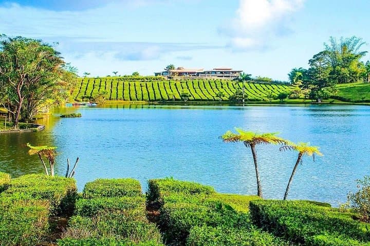 East Discovery Tour Mauritius — Bois Chéri Tea, Blue Bay Snorkel & Mahebourg History photo 1