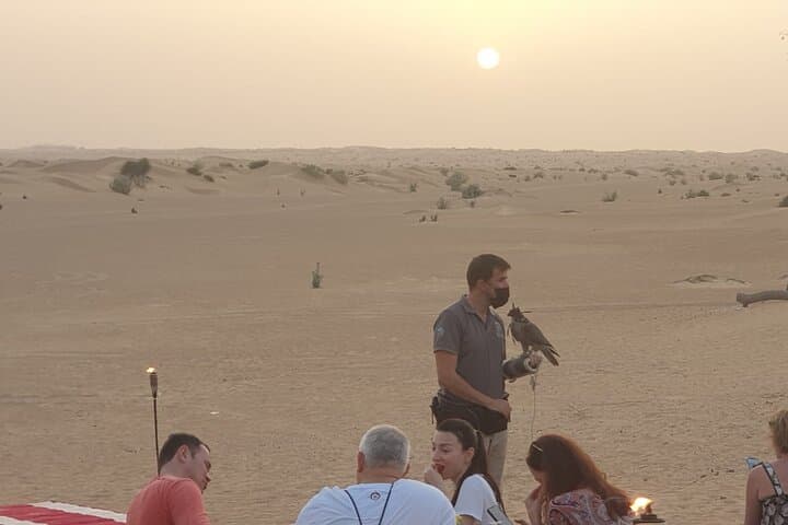 Sunset Falconry & Private Al Lahbab Desert Safari — 4x4 Red Dunes, Camel Ride & BBQ photo 5