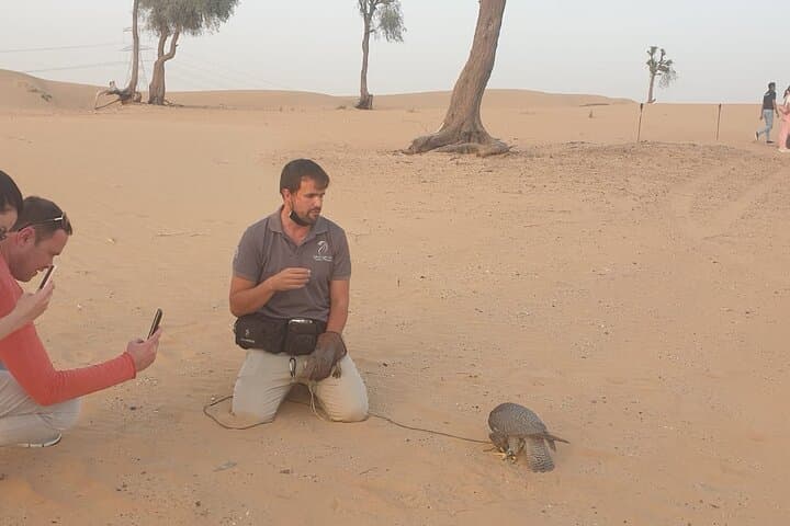 Sunset Falconry & Private Al Lahbab Desert Safari — 4x4 Red Dunes, Camel Ride & BBQ photo 6