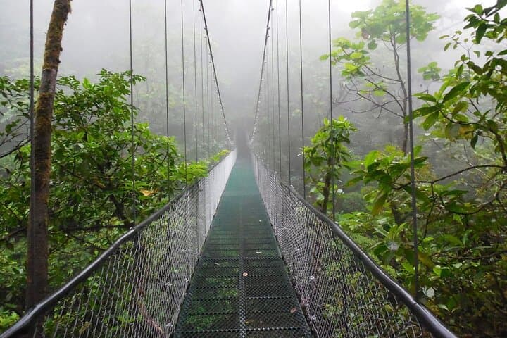 Hanging Bridges Adventure San Luis: Canopy Walk & Wildlife from San José photo 6