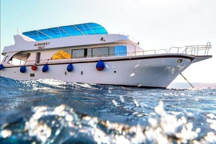 Half-Day Red Sea Boat Dive from Aqaba — Wrecks, Reefs & Pro Photos photo 3