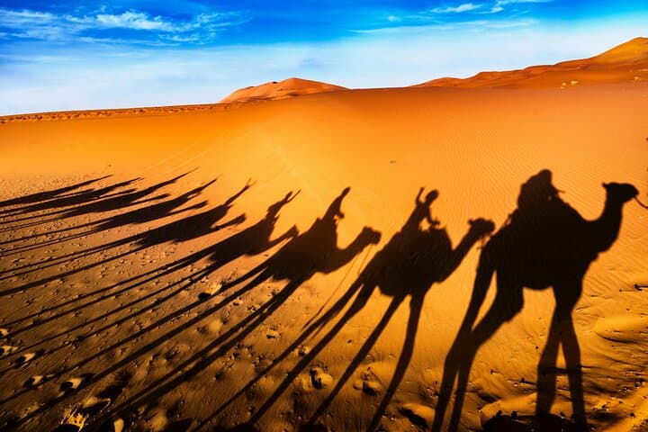 4-Day Sahara Desert Tour from Marrakech to Fes: Erg Chebbi, Todra Gorge & Atlas Pass photo 3