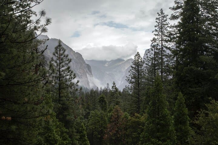 Sequoia Full-Day Private Tour and Hike — General Sherman, Moro Rock & Giant Forest photo 3
