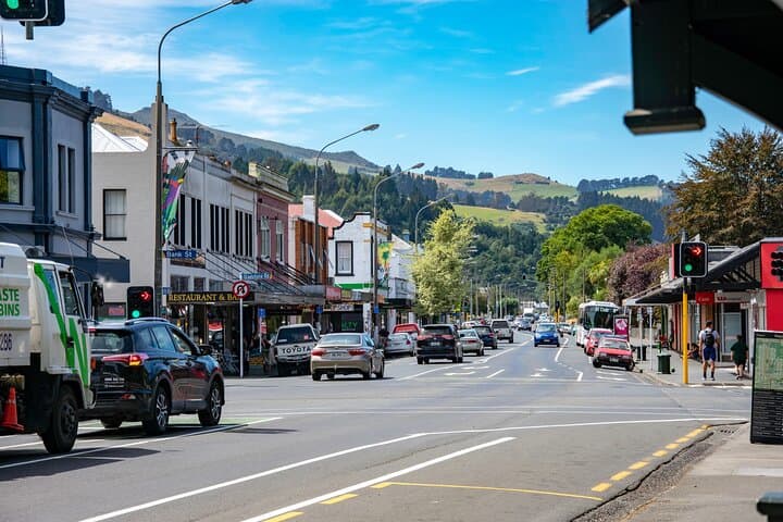 Self-Guided Dunedin Walking Tour: Octagon, Railway Station & Cultural Highlights