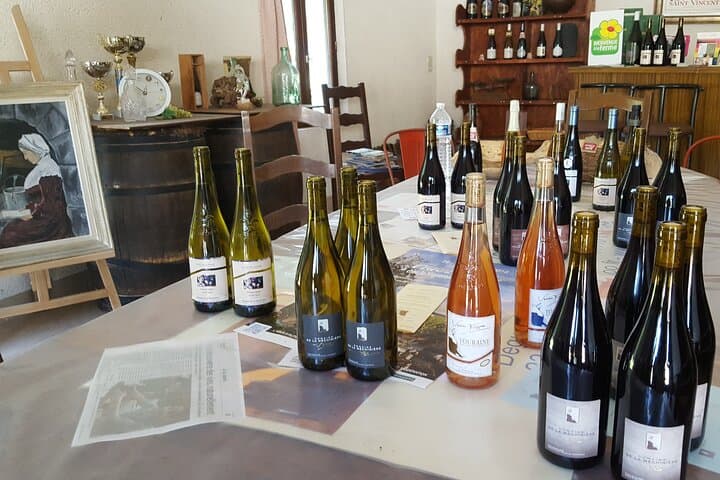 Chenonceau & Touraine Wine Private Day Tour from Paris photo 5